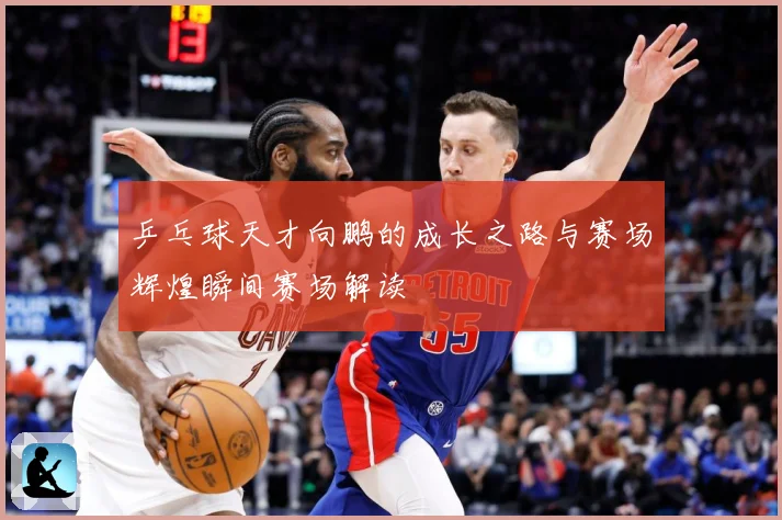 乒乓球天才向鹏的成长之路与赛场辉煌瞬间赛场解读