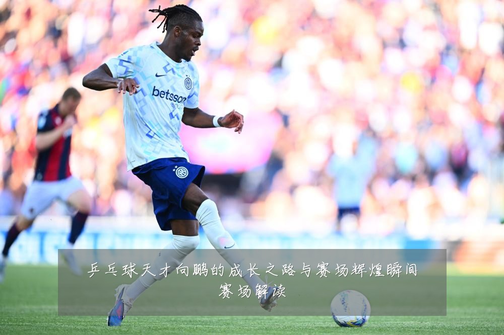 乒乓球天才向鹏的成长之路与赛场辉煌瞬间赛场解读