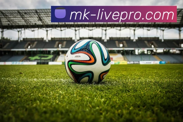 MK体育平台展示图