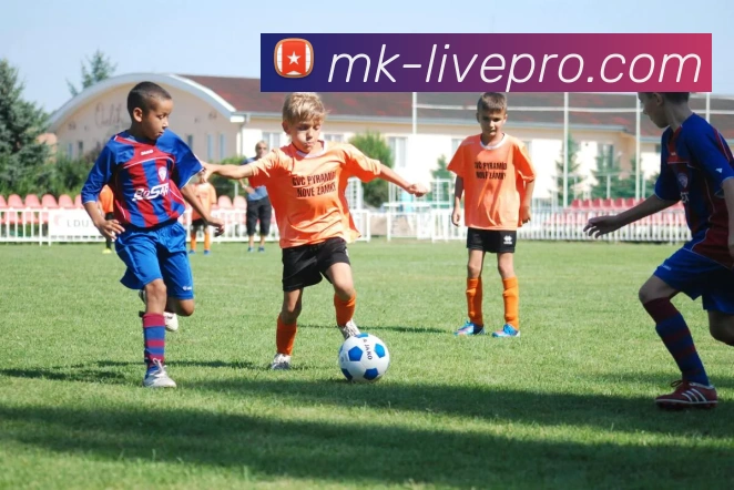 MK体育入口全新升级体验尽享顶级赛事直播与互动平台